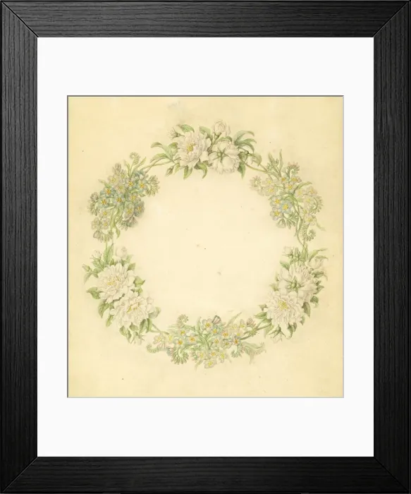 Framed Print : Brunnera macrophylla and Rosa, white roses Framed Print : Brunnera macrophylla and Rosa, white roses
