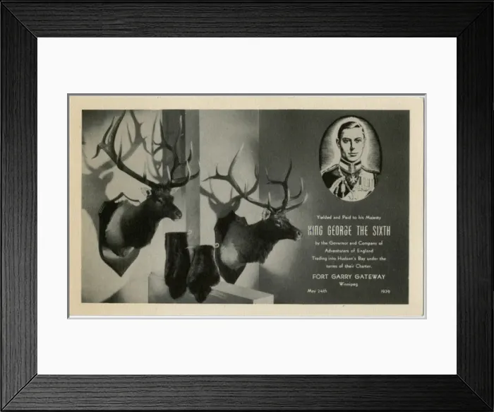 Framed Print : Two Mounted Stag heads and Beaver pelts given to King George Framed Print : Two Mounted Stag heads and Beaver pelts given to King George