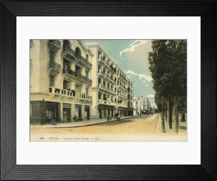 Framed Print : Tunis, Tunisia - Avenue Jules-Ferry Framed Print : Tunis, Tunisia - Avenue Jules-Ferry