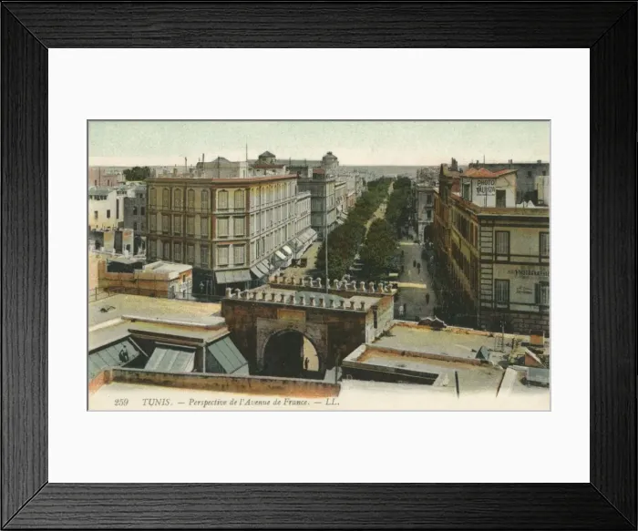Framed Print : Tunis, Tunisia - Perspective of the L Avenue de France Framed Print : Tunis, Tunisia - Perspective of the L Avenue de France