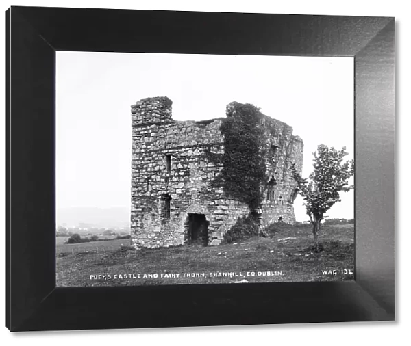 Pucks Castle and Fairy Thorn, Shankill, Co. Dublin