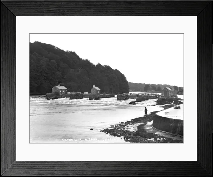 Framed Print : Salmon Leap, R. Bann, Coleraine Framed Print : Salmon Leap, R. Bann, Coleraine