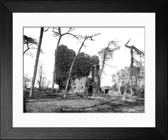 Framed Print : Assey Castle, Co. Meath Framed Print : Assey Castle, Co. Meath