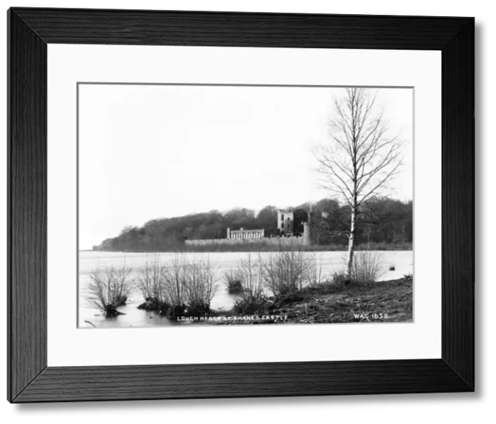 Framed Print : Lough Neagh at Shanes Castle Framed Print : Lough Neagh at Shanes Castle