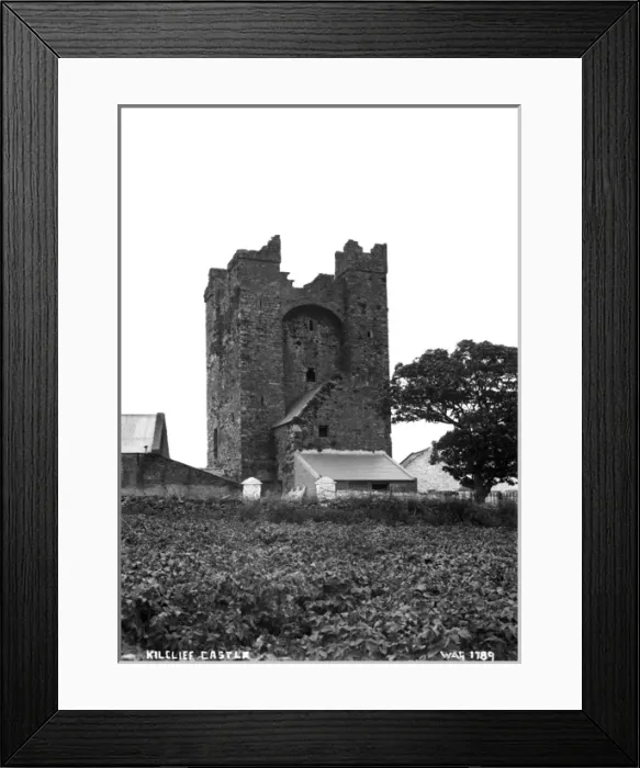 Framed Print : Kilclief Castle Framed Print : Kilclief Castle