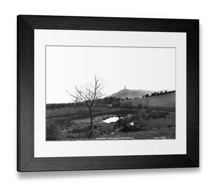 Framed Print : Scrabo Hill, Newtownards Framed Print : Scrabo Hill, Newtownards