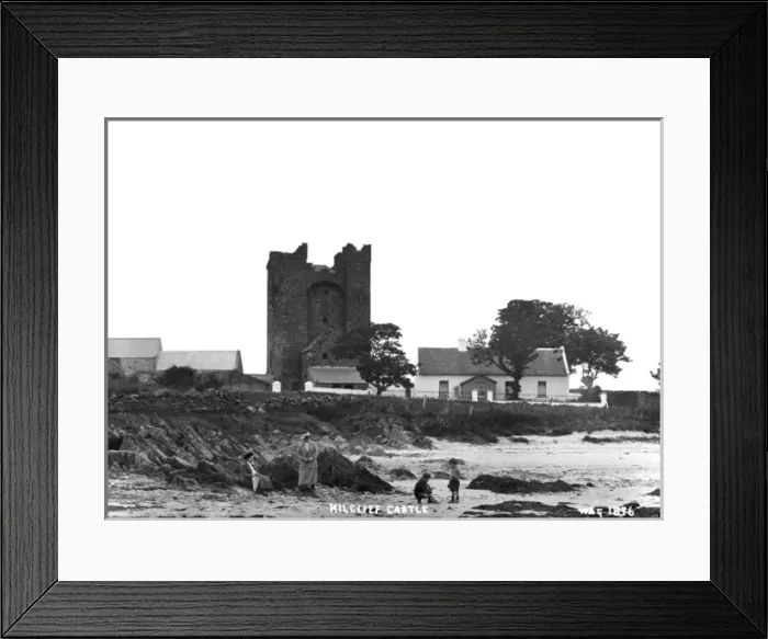Framed Print : Kilclief Castle Framed Print : Kilclief Castle