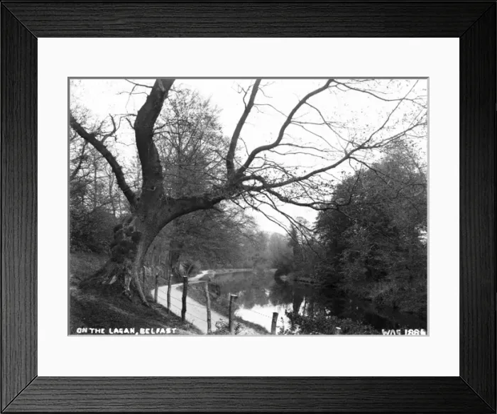 Framed Print : On the Lagan, Belfast Framed Print : On the Lagan, Belfast