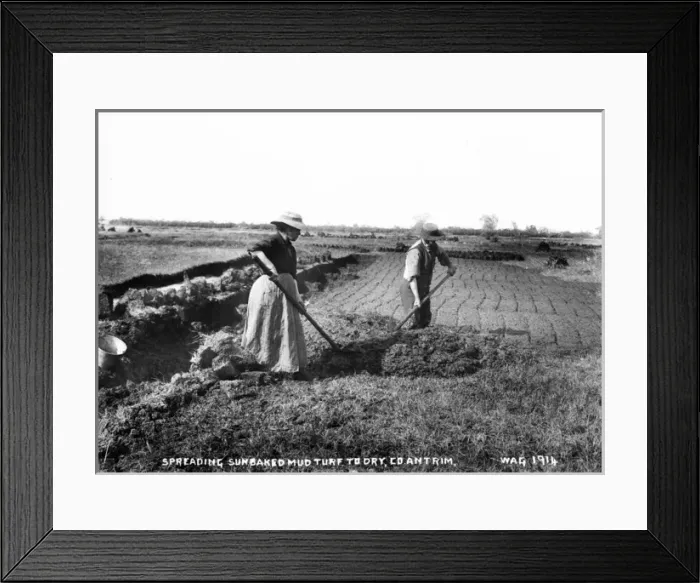 Framed Print : Spreading Sunbaked Mud Turf to Dry, Co. Antrim Framed Print : Spreading Sunbaked Mud Turf to Dry, Co. Antrim