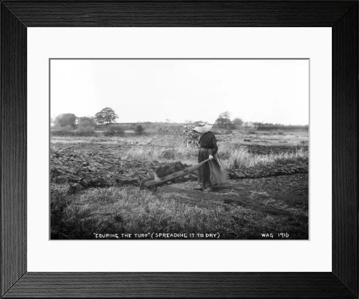 Framed Print : Couping the Turf (Spreading It to Dry) Framed Print : Couping the Turf (Spreading It to Dry)