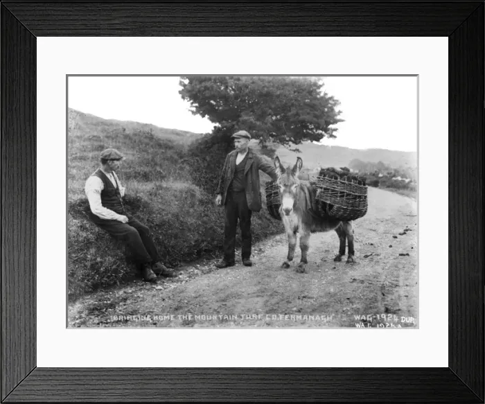 Framed Print : Bringing Home the Mountain Turf, Co. Fermanagh Framed Print : Bringing Home the Mountain Turf, Co. Fermanagh
