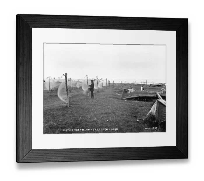 Framed Print : Drying the Pollan Nets, Lough Neagh Framed Print : Drying the Pollan Nets, Lough Neagh