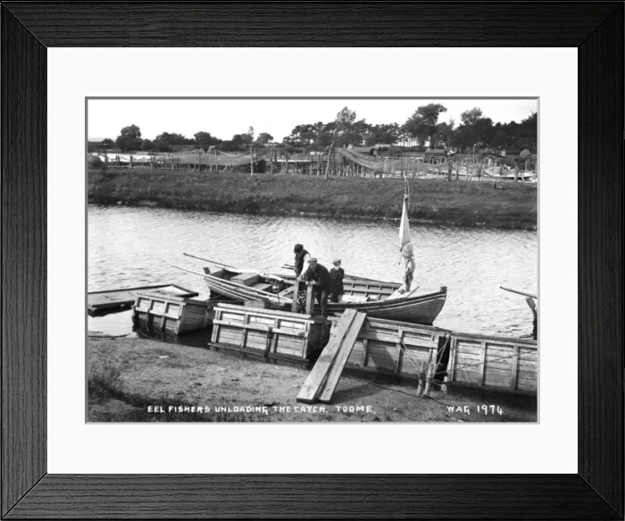 Framed Print : Eel Fishers Unloading the Catch. Toome Framed Print : Eel Fishers Unloading the Catch. Toome