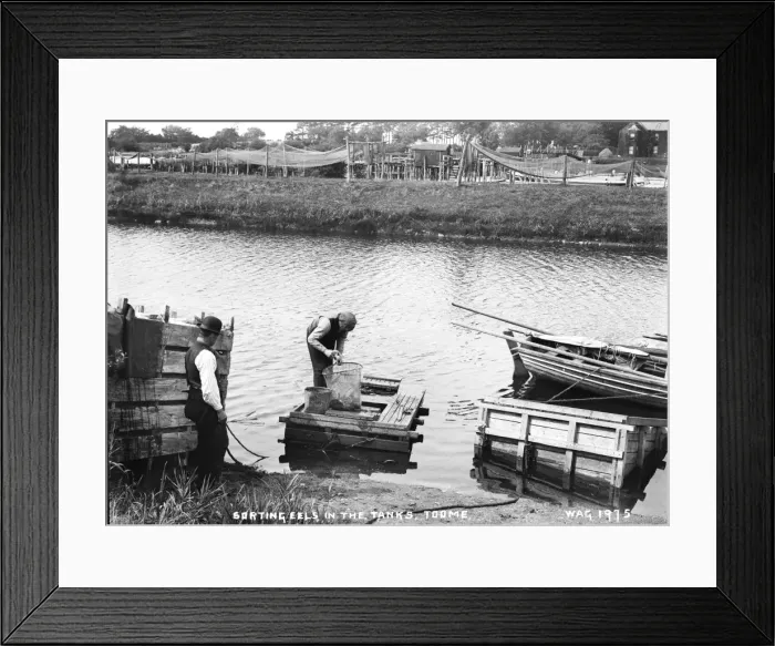 Framed Print : Sorting Eels in the Tanks, Toome Framed Print : Sorting Eels in the Tanks, Toome