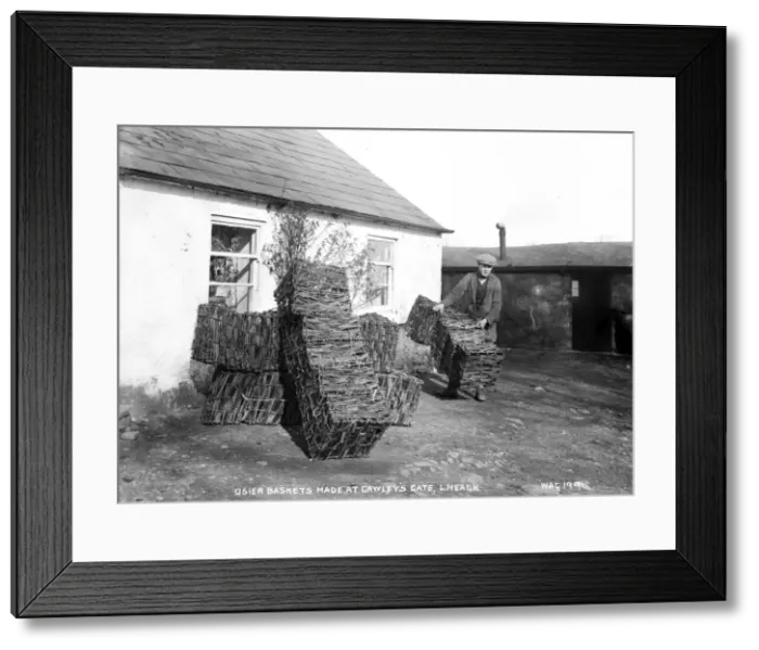 Framed Print : Osier Baskets Made at Gawleys Gate, Loch Neagh