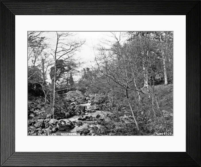 Framed Print : Fairy Glen, Rostrevor Framed Print : Fairy Glen, Rostrevor