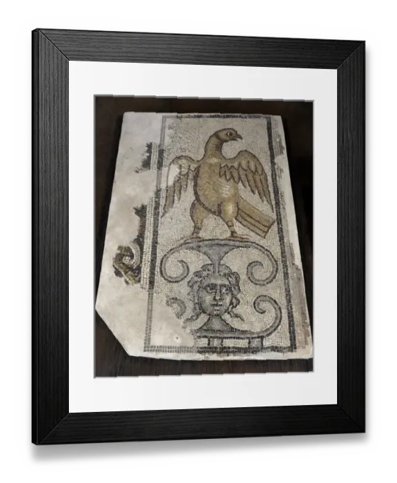Framed Print : Eagle and Medusa Head. Mosaic floor. Synagogue at Yafia, Low Framed Print : Eagle and Medusa Head. Mosaic floor. Synagogue at Yafia, Low