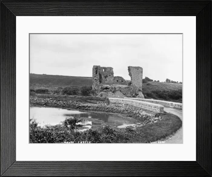 Framed Print : Mahee Castle Framed Print : Mahee Castle