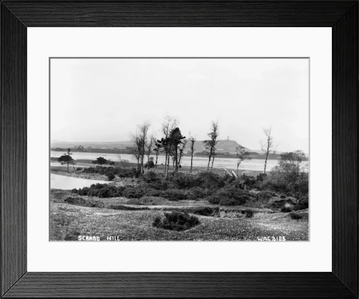 Framed Print : Scrabo Hill Framed Print : Scrabo Hill