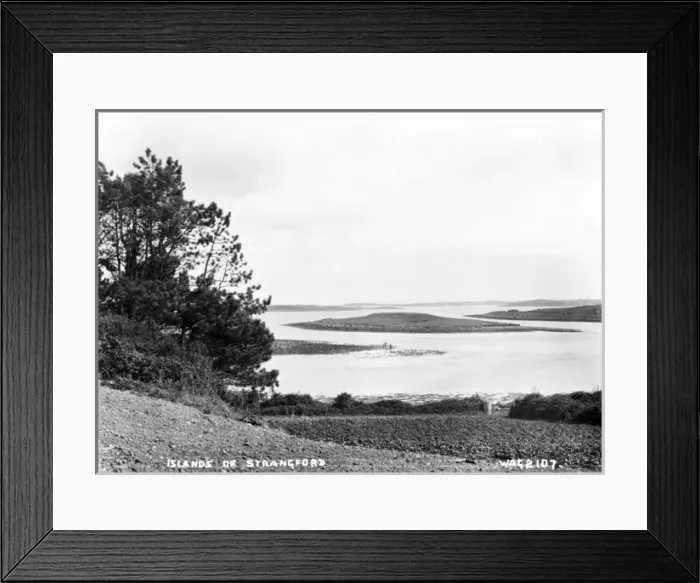 Framed Print : Islands of Strangford Framed Print : Islands of Strangford
