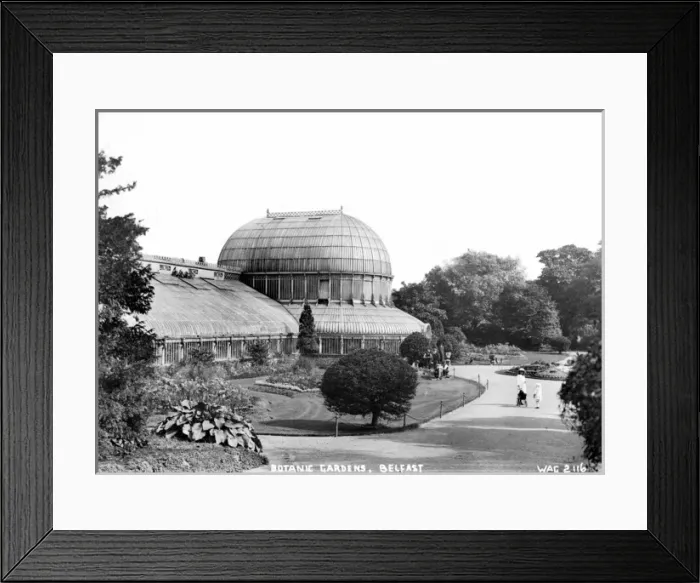 Framed Print : Botanic Gardens, Belfast Framed Print : Botanic Gardens, Belfast