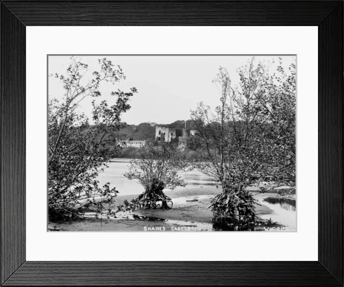 Framed Print : Shanes Castle Framed Print : Shanes Castle