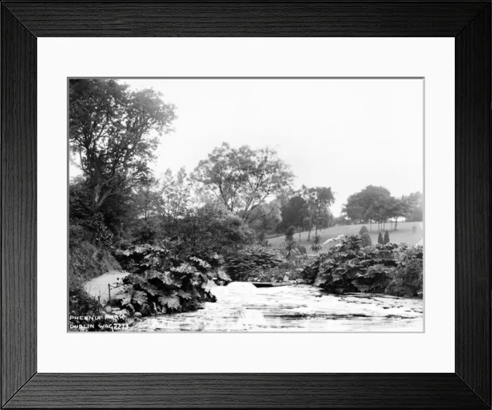 Framed Print : Phoenix Park, Dublin Framed Print : Phoenix Park, Dublin
