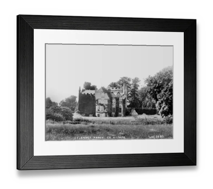 Framed Print : Celbridge Abbey, Co. Kildare Framed Print : Celbridge Abbey, Co. Kildare