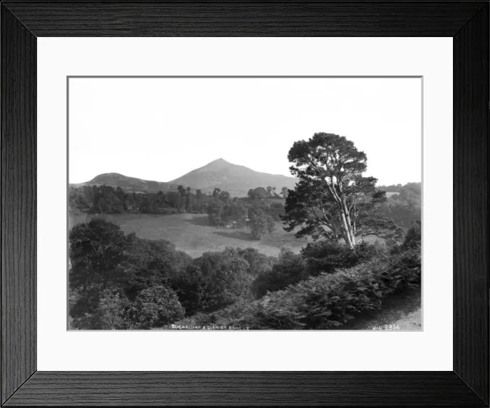 Framed Print : Sugarloaf and Glen of Dargle Framed Print : Sugarloaf and Glen of Dargle