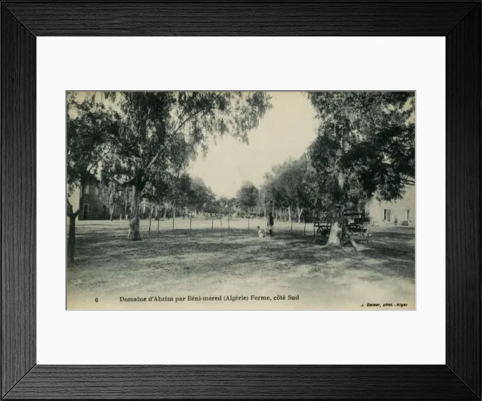 Framed Print : Beni Mered, Algeria - farm Framed Print : Beni Mered, Algeria - farm
