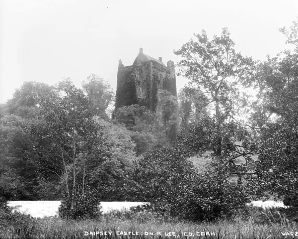 Dripsey Castle on R. Lee, Co. Cork