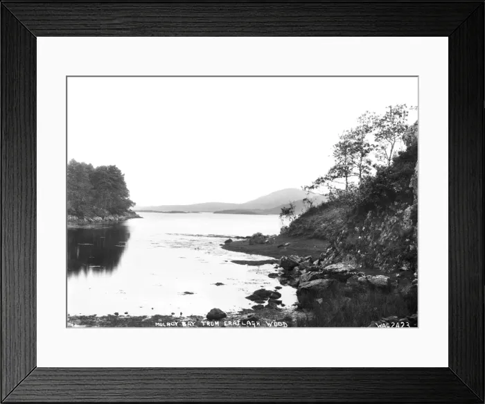 Framed Print : Mulroy Bay from Cratlagh Wood Framed Print : Mulroy Bay from Cratlagh Wood