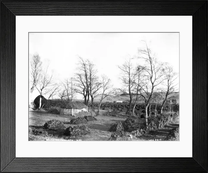 Framed Print : A Co. Fermanagh Bog Framed Print : A Co. Fermanagh Bog