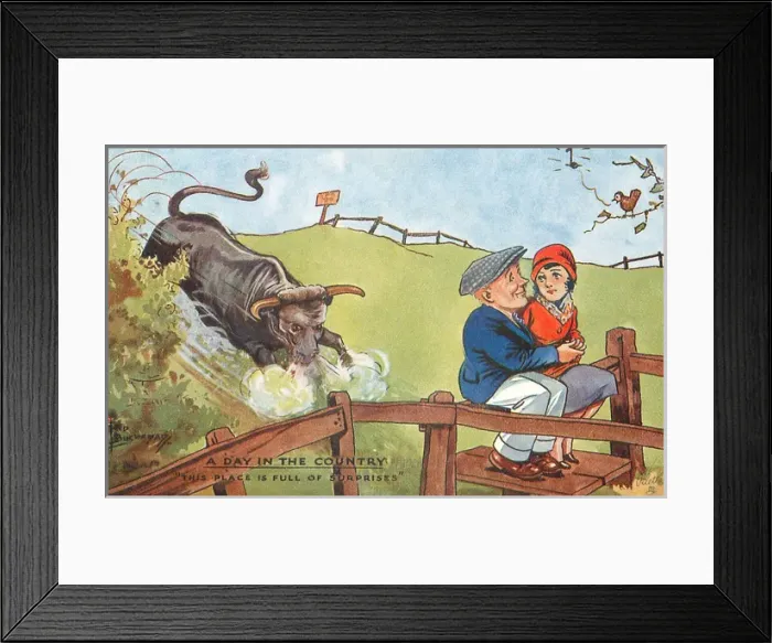 Framed Print : Couple attacked by a bull Framed Print : Couple attacked by a bull