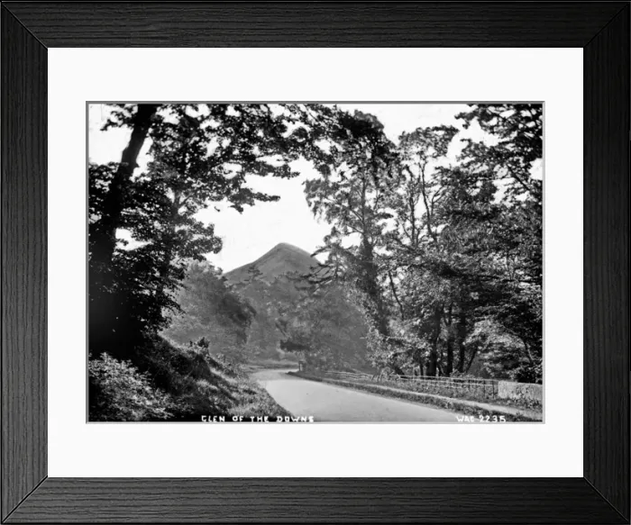 Framed Print : Glen of the Downs Framed Print : Glen of the Downs