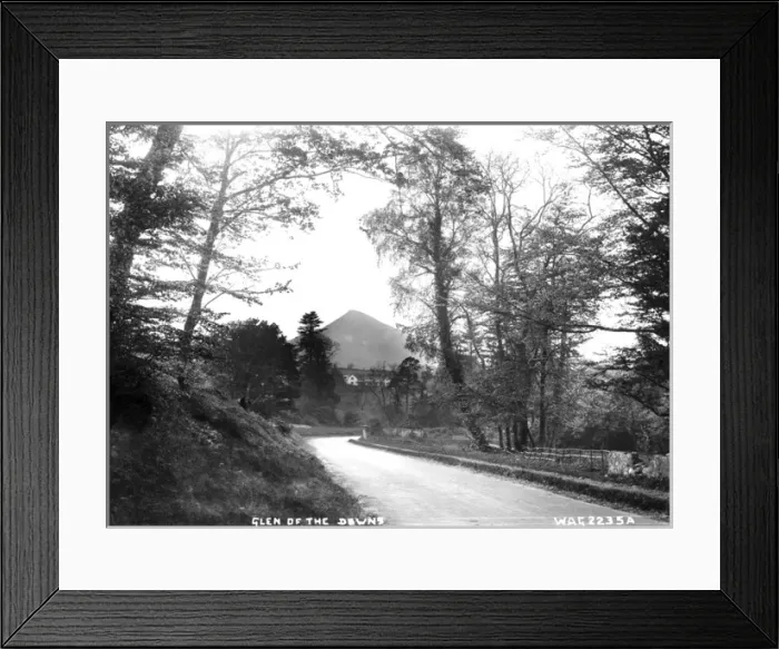 Framed Print : Glen of the Downs