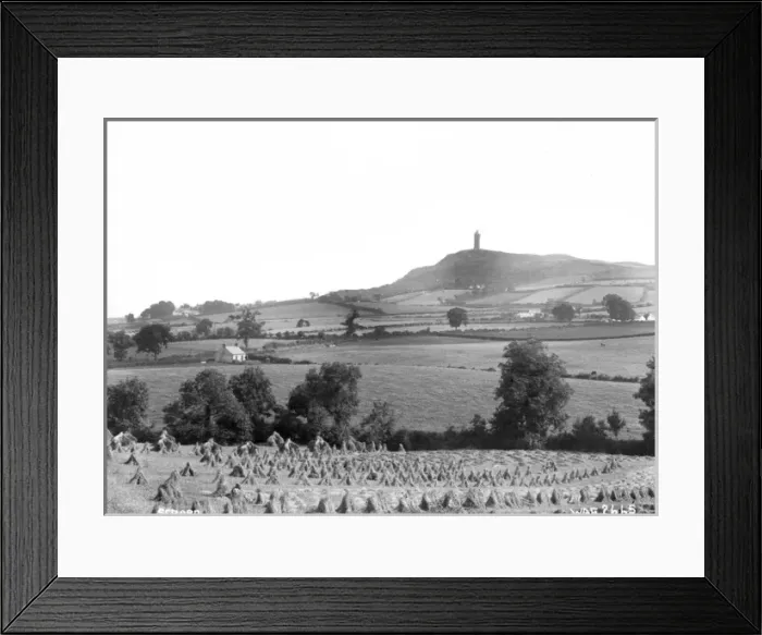 Framed Print : Scrabo - a distant view of the tower over fields, with hay stooks in the foreground Framed Print : Scrabo - a distant view of the tower over fields, with hay stooks in the foreground