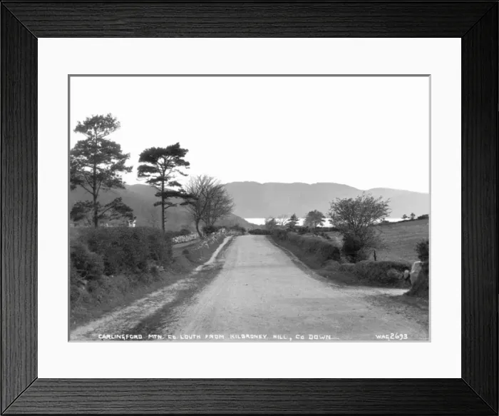 Framed Print : Carlingford Mountain. Co. Louth from Kilbroney Hill, Co. Dow Framed Print : Carlingford Mountain. Co. Louth from Kilbroney Hill, Co. Dow