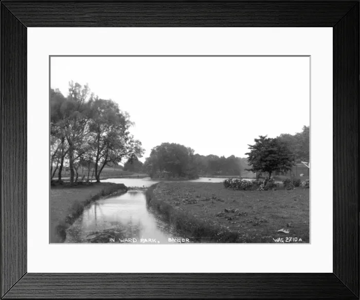 Framed Print : In Ward Park, Bangor Framed Print : In Ward Park, Bangor