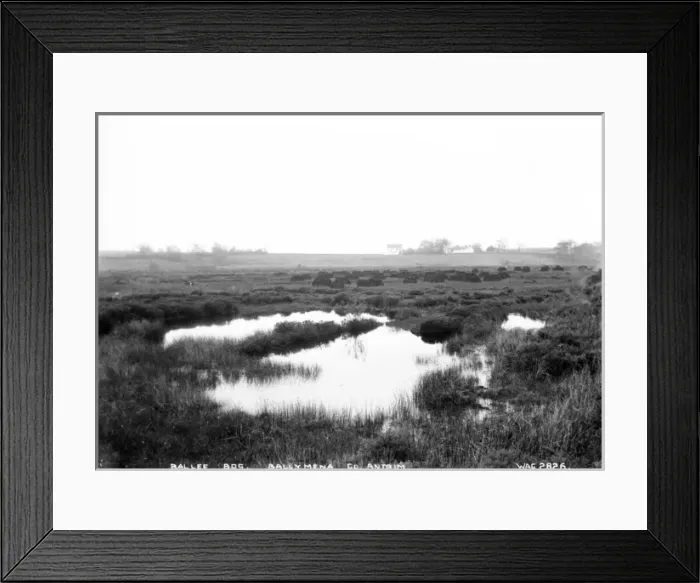 Framed Print : Ballee Bog, Ballymena, Co. Antrim Framed Print : Ballee Bog, Ballymena, Co. Antrim