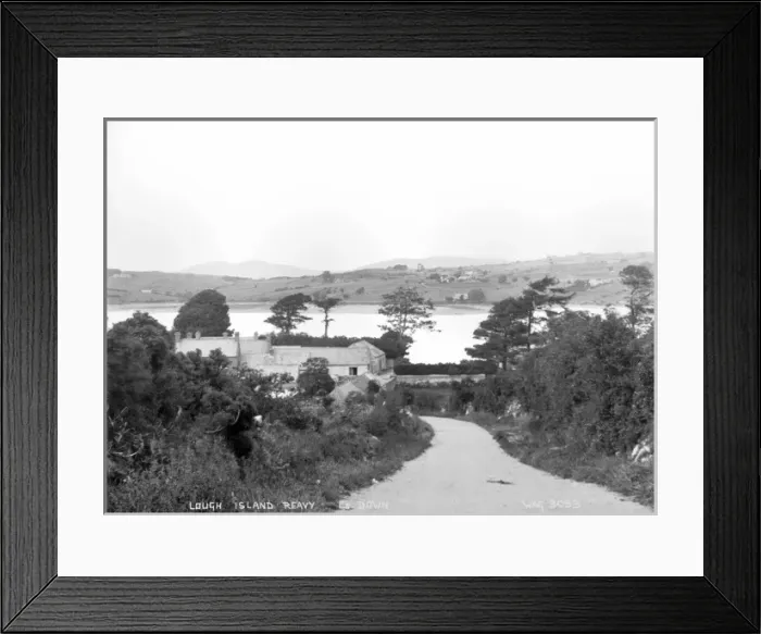 Framed Print : Lough Island Reavy, Co. Down Framed Print : Lough Island Reavy, Co. Down