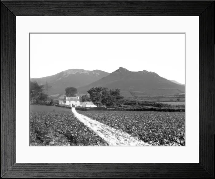 Framed Print : Cock and Hen Mountains. Co. Down Framed Print : Cock and Hen Mountains. Co. Down