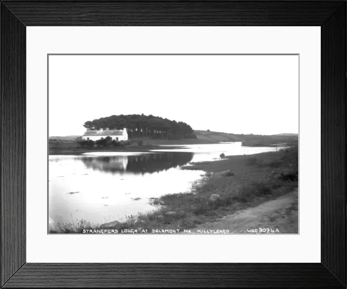 Framed Print : Strangford Lough at Delamont Nr. Killyleagh Framed Print : Strangford Lough at Delamont Nr. Killyleagh
