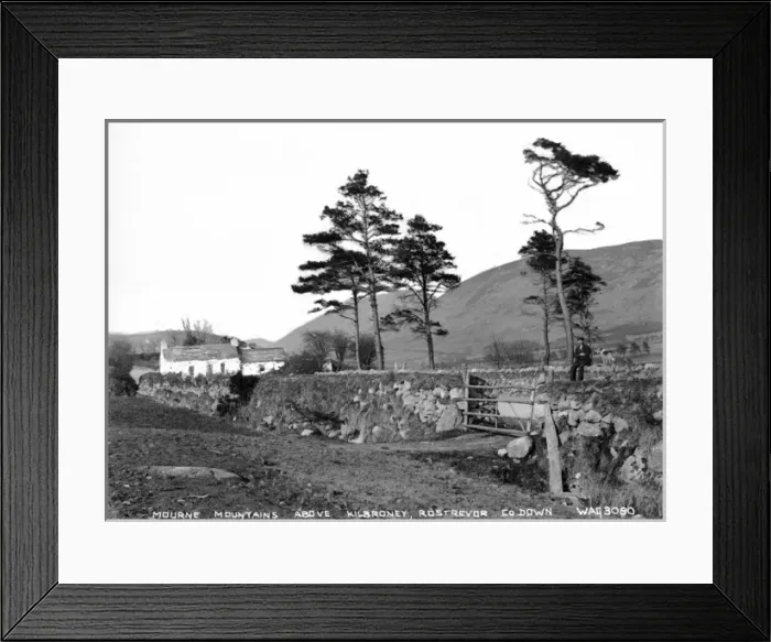Framed Print : Mourne Mountains Above Kilbroney, Rostrevor, Co. Down Framed Print : Mourne Mountains Above Kilbroney, Rostrevor, Co. Down