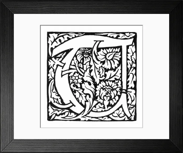 Framed Print : Decorative initial Framed Print : Decorative initial