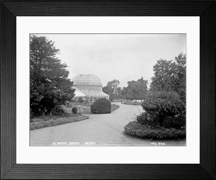 Framed Print : In Botanic Gardens, Belfast Framed Print : In Botanic Gardens, Belfast