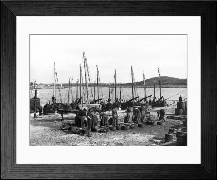 Framed Print : Gutting Herrings, Ardglass Framed Print : Gutting Herrings, Ardglass
