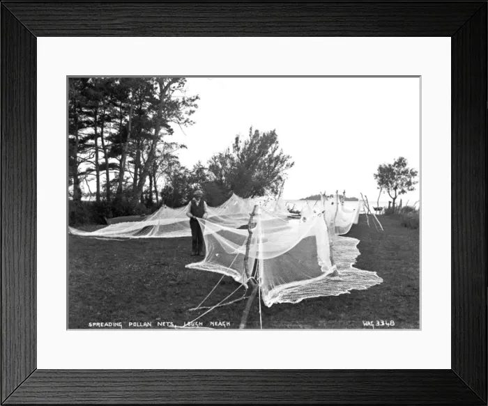 Framed Print : Spreading Pollan Nets, Lough Neagh Framed Print : Spreading Pollan Nets, Lough Neagh