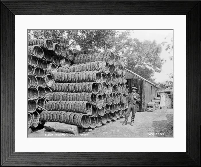Framed Print : Basket Industry, Lough Neagh Framed Print : Basket Industry, Lough Neagh