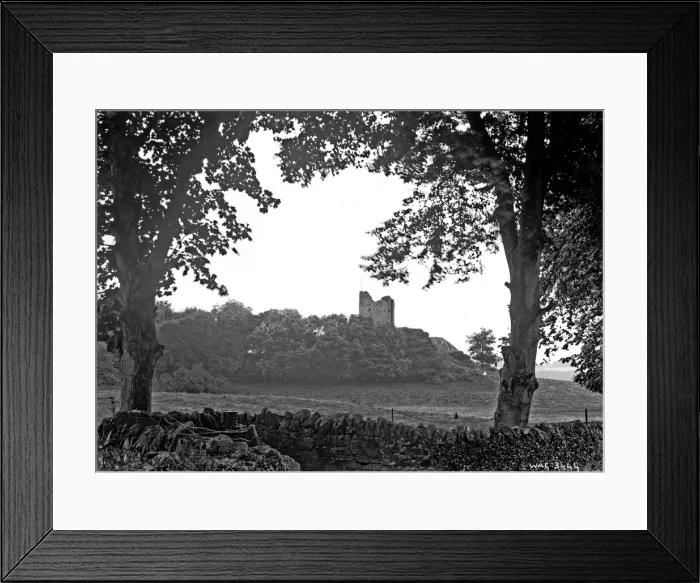 Framed Print : Distant view of Audleys Castle, Strangford Framed Print : Distant view of Audleys Castle, Strangford